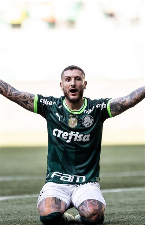 Pin De Fagner Em Palmeiras Em Palmeiras Zezinho