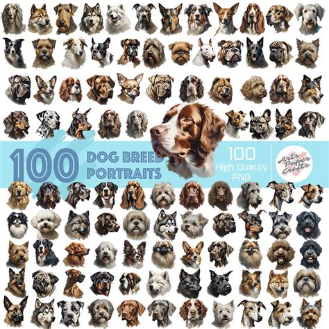 100 Dog Breeds Clipart Bundle 100 Types of Breeds, Watercolor Dogs, 100 ...