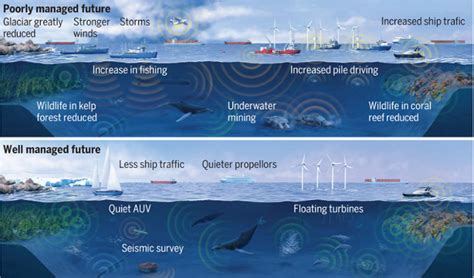 Noise Pollution Affects Marine Life Worldwide Leiden University