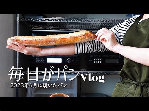 Vlog32 2023年 最近焼いたパンvol18「6月のパン焼き」 毎日がパン 今日も焼いています 毎日がパン｜youtubeランキング