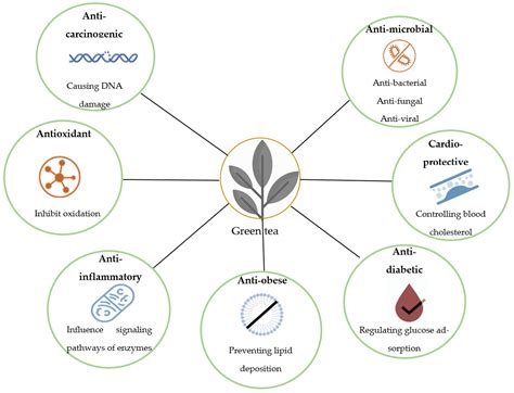 Tea Polyphenols and Their Preventive Measures against Cancer: Current