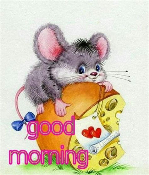 A Mouse Sitting On Top Of A Piece Of Cheese With The Words Good Morning