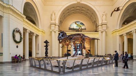 20 Best Museums in Chicago [A Local’s Favorites in 2023] - Travel Lemming