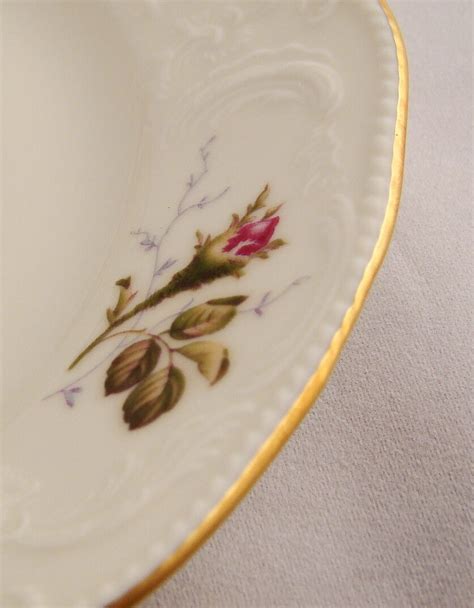 Rosenthal MOSS ROSE SANSSOUCI IVORY Bread Butter Dessert Plate S 6 7