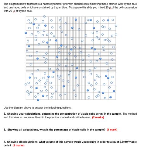 The Diagram Below Represents A Haemocytometer Grid