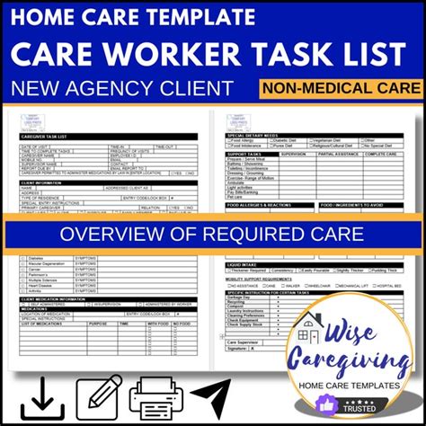 Care Plan Template Elderly Etsy