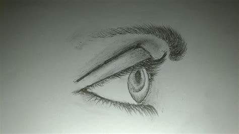 Side View Of Eye Drawing