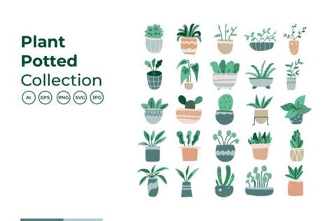 Plant Potted Illustration Collection Graphic By Role Graphic Creative