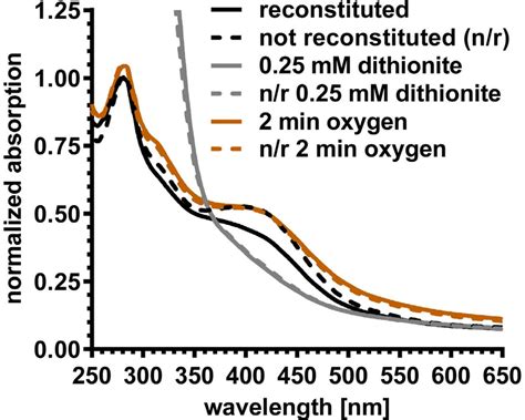 UV VIS Spectra Of The Fe S Cluster Containing Activating Enzyme