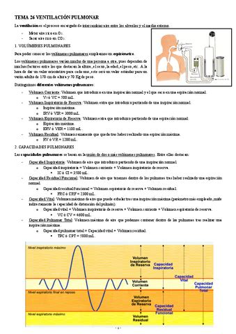 FISIOLOGIA I TEMA 26 VENTILACION PULMONAR Pdf