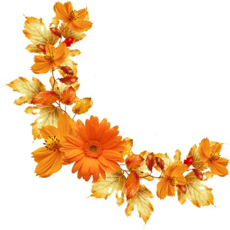 Download Orange Floral Border Png Image Background Orange Flower