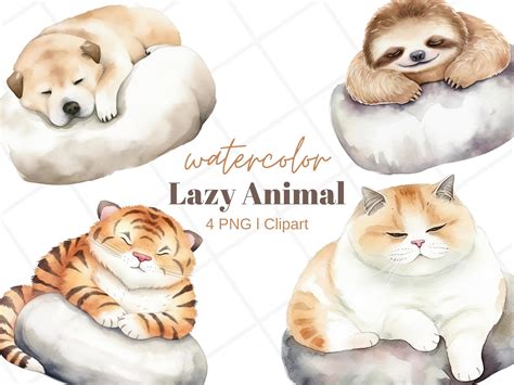 lazy animal list 8