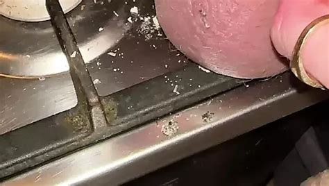 Burning Acorn With Cigarette And Fire Part Gay Harness Porn Feat