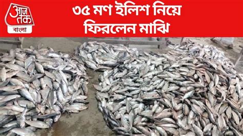 Hilsa Fish এক জালে ৫৫০০ মাছ বর্ষা শুরুর আগেই ৩৫ মণ ইলিশ নিয়ে ফিরল