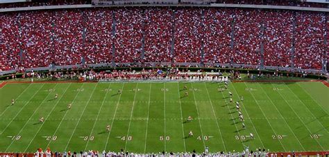 Georgia Bulldogs Football Tickets 2024 | Vivid Seats