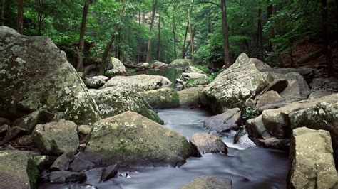 Lakes Cedar Arkansas Creek Wallpapers Hd Desktop And Mobile