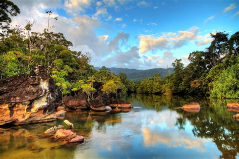 ¡todo Al Verde Los Países Más Biodiversos De Planeta