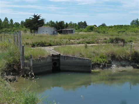 Salt marshes: cycling from Les Sables d'Olonne (Vendée, France)