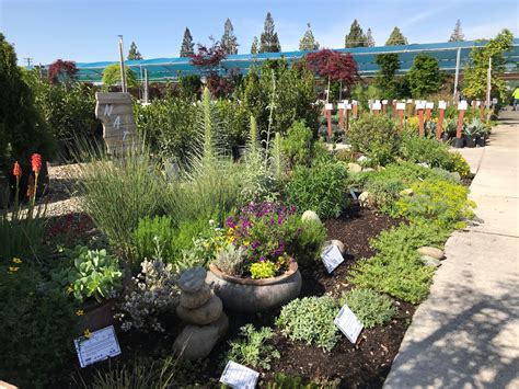 Green Acres Nursery And Supply