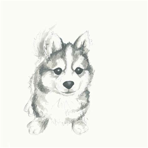 Realistic Puppy Drawing at PaintingValley.com | Explore collection of ...