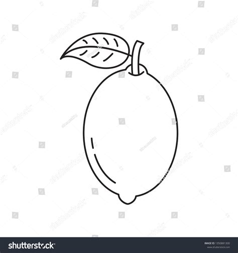 Lemon Fruit Icon Vector Stock Vector Royalty Free 1350881300 Shutterstock