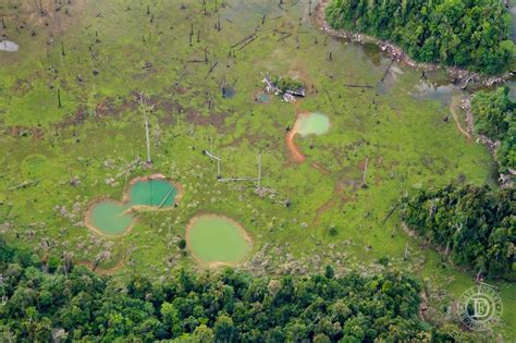 Taman Nasional Kayan Mentarang Di Borneo Sarah Beekmans