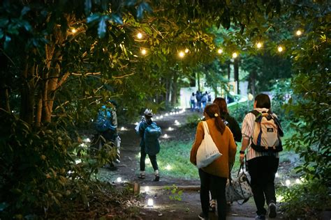 開催について 夜空と交差する森の映画祭2023