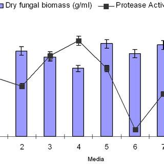 SDS PAGE Of Purified Extracellular Alkaline Protease Of Rhizopus