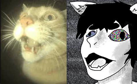 anime cat face challenge (MS paint) by Themtron on DeviantArt