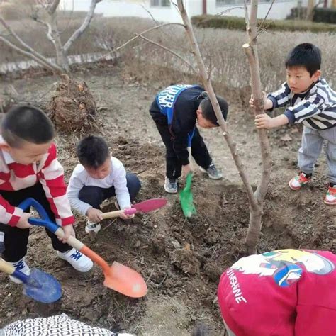 拥抱春天 共享绿色——高阳县幼儿园举办3 12植树节活动 意识 树苗 挖坑