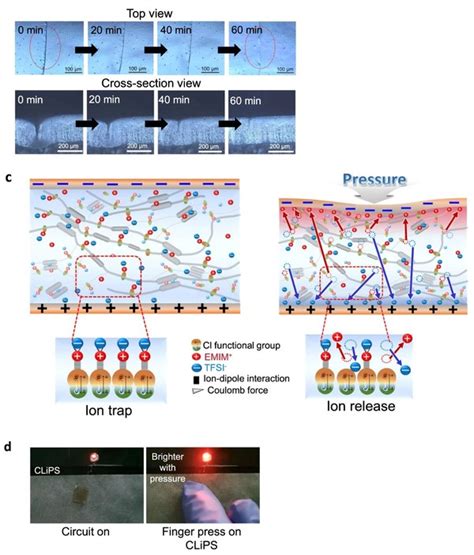 Restoring Physical Damage And Tactile Function With Self Healable