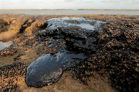 Petroleo Nas Praias Do Nordeste O Maior Desastre Ambiental Da