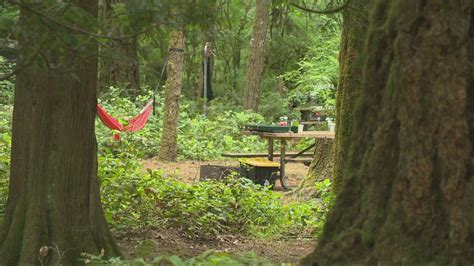 Campfires Banned On Mt Hood Columbia Gorge For Fourth Of July Kgw