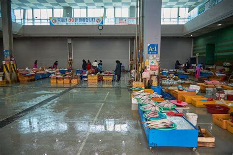 Jagalchi Fish Market The Largest Seafood Market In Busan South Korea