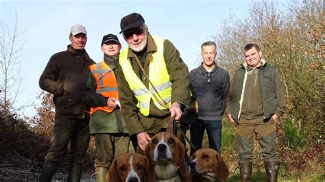 La Chasse En Meutes De Chiens Courants