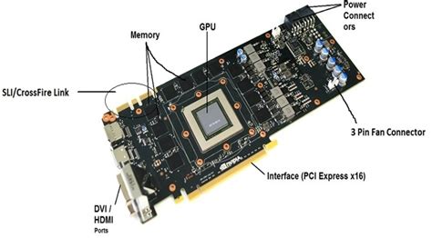 The Major Difference Between CPU and GPU | TechTapo