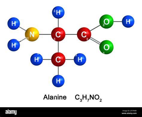 D Render De Estructura Molecular De La Alanina Aislada Sobre Fondo