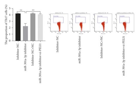 PELI1 Silence Partly Reversed The Effect Of Inhibited MiR 301a 3p On