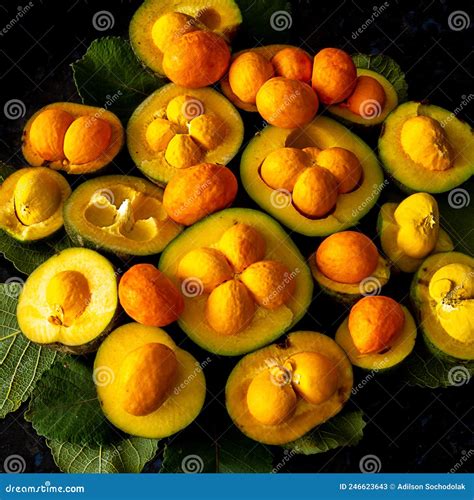 Traditional Fruit Flowers And Pequi Tree Caryocar Brasiliense