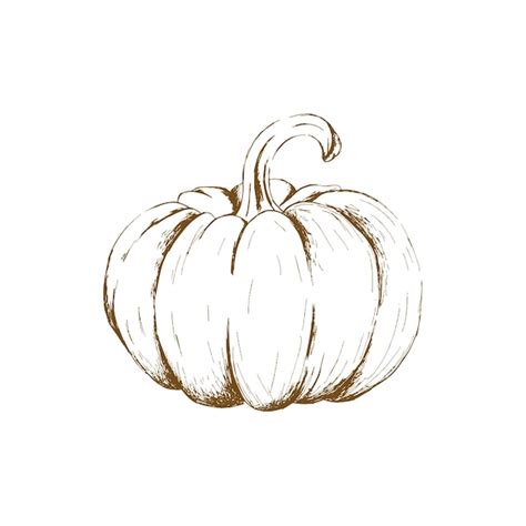 Premium Vector Pumpkin Vector Illustration Autumn Halloween Or