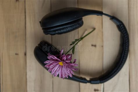 Large Black Headphones And Purple Flower Stock Image Image Of