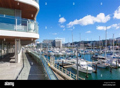 wellington harbour wellington marina Stock Photo - Alamy