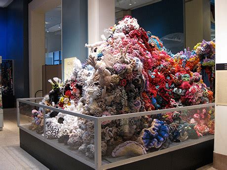 Smithsonians National Museum Of Natural History Crochet Coral Reef