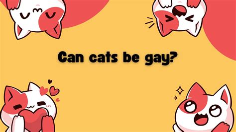 Can Cats Be Gay Lesbian Or Bisexual Cats Facts Final Answer YouTube