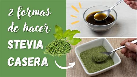 Cómo hacer STEVIA CASERA en polvo y líquida