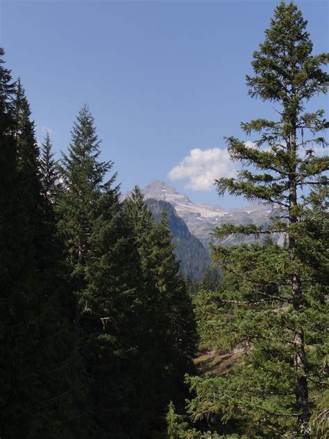 Steven S Canyon In Mt Rainier Natural Landmarks Pacific Nw Landmarks