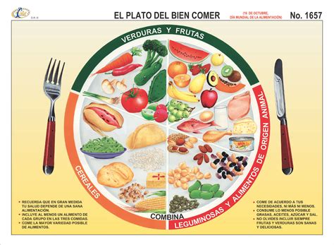 Importancia Del Plato Del Buen Comer Masamo