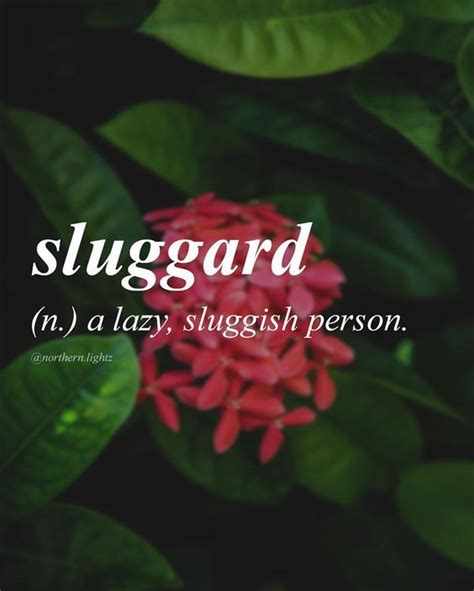 sluggard | Uncommon words, Uncommon words definition, Word definitions