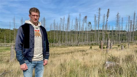 Tote B Ume Berall Wie Gehts Weiter Mit Dem Wald Neuneinhalb Tv