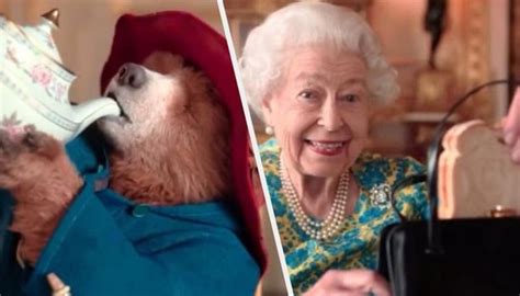 Thank You Ma Am For Everything Paddington Bear S Tribute To Queen